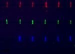 Easy assembly of electronic biological chips